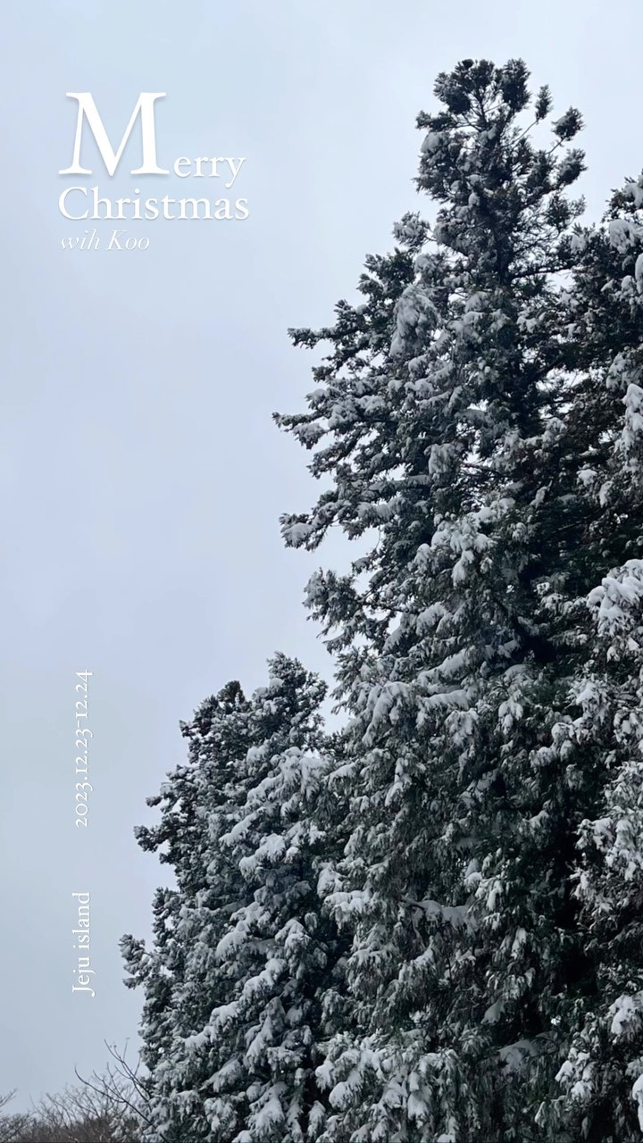 White Christmas in Jeju ❄️