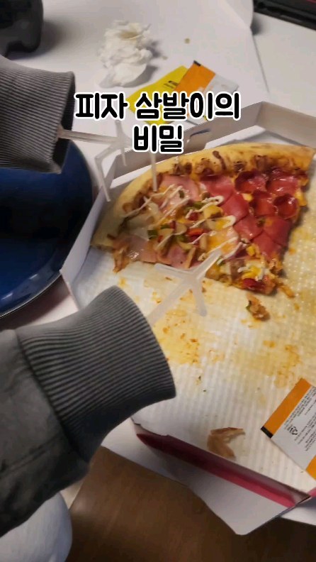 사실 비둘기 손가락? 발가락?임