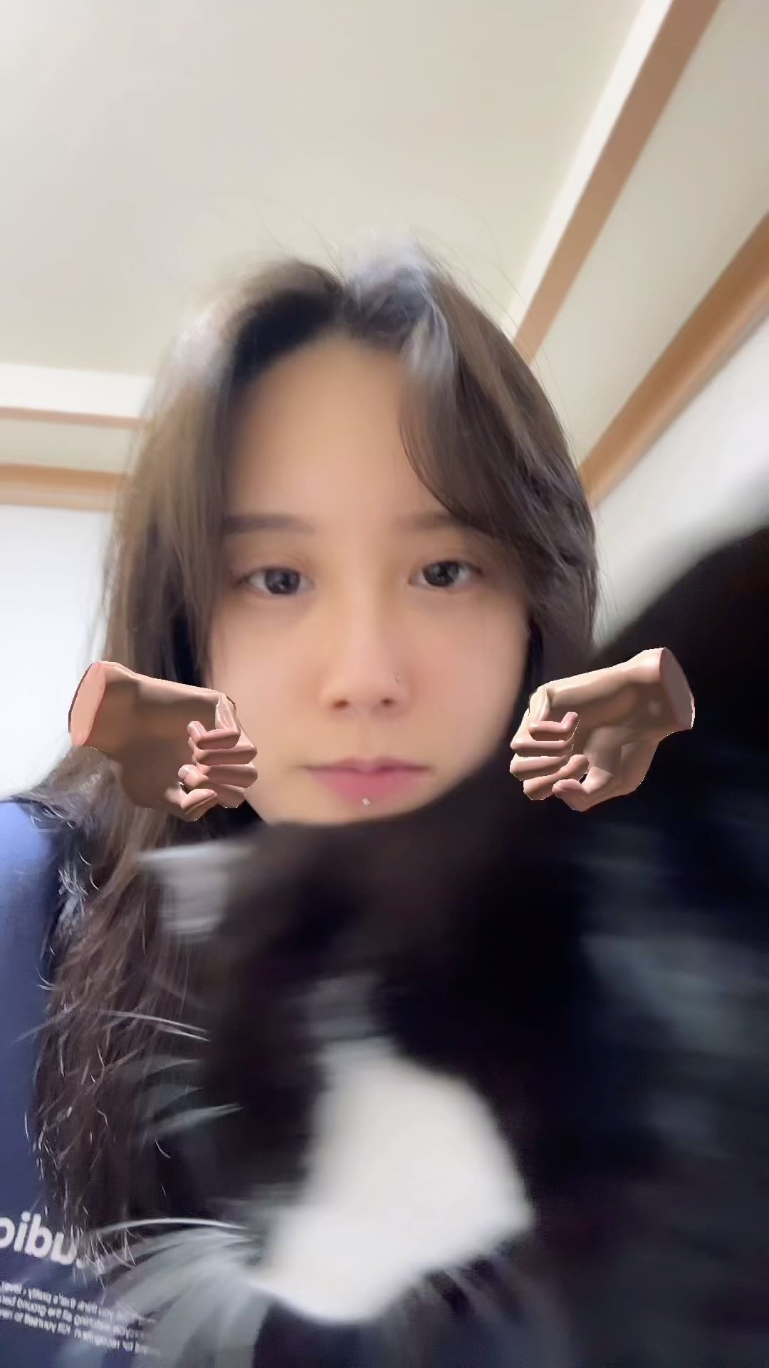 콘텐츠