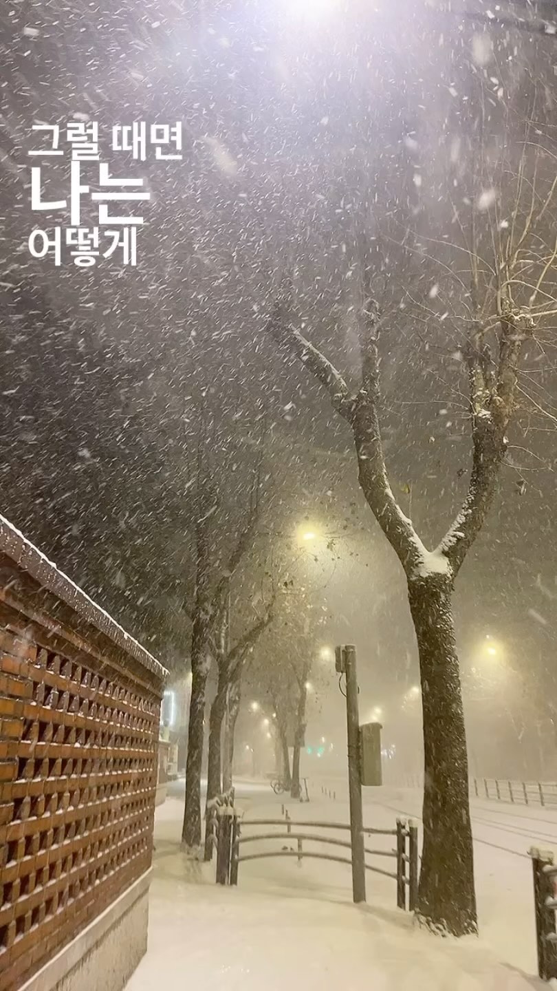 규환이 아버지…❄️❄️❄️
.
.
.
(아비규환….☃️)
#첫눈 #눈폭탄 #폭설❄️ #눈테러 #눈썰매 #스키장 #겨울코디 #겨울패션 #겨울왕국 #눈사람 될 뻔…ㅋ #얼죽아 #시트콤 #인생 #스펙타클 #산책 #연말 #연말이벤트 #bye2023 #whitechristmas #reelsinstagram #reelsvideo #reellife