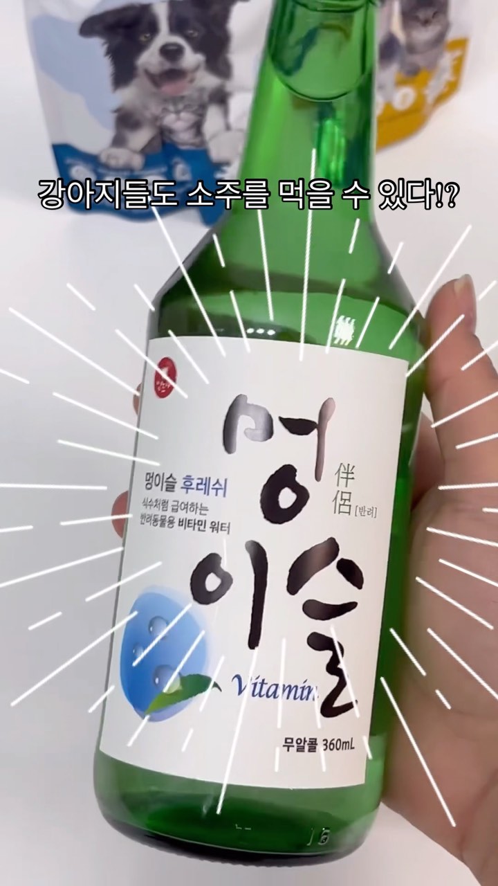 #협찬 #햇님인네이버 

참💧과 싱크로율 10000000%
반려견이 마실 수 있는 소주(?) #멍이슬

NO 색소, NO 알코올 
첨기물 없이 각종 비타민과 영양성분이 들어있어 식수대용으로 좋은
강아지용 비타민 워터에요!

반려견과 함께 즐길 수 있는 재미, 강아지에겐 건강을 챙겨줄 수 있어서
자주 구매하게 될 거 같아요!🍺

스마트스토어에는 추가상품으로 펫밀크와 두유까지 구매하실 수 있으니 참고하시길 바랄게요-!

구매링크 ▶️ https://naver.me/x6AkQiIJ

#강아지비타민음료 #강아지소주 #멍이슬 #강아지비타민워터 #분위기 #감성 #강아지간식 #반려견 #강아지소주