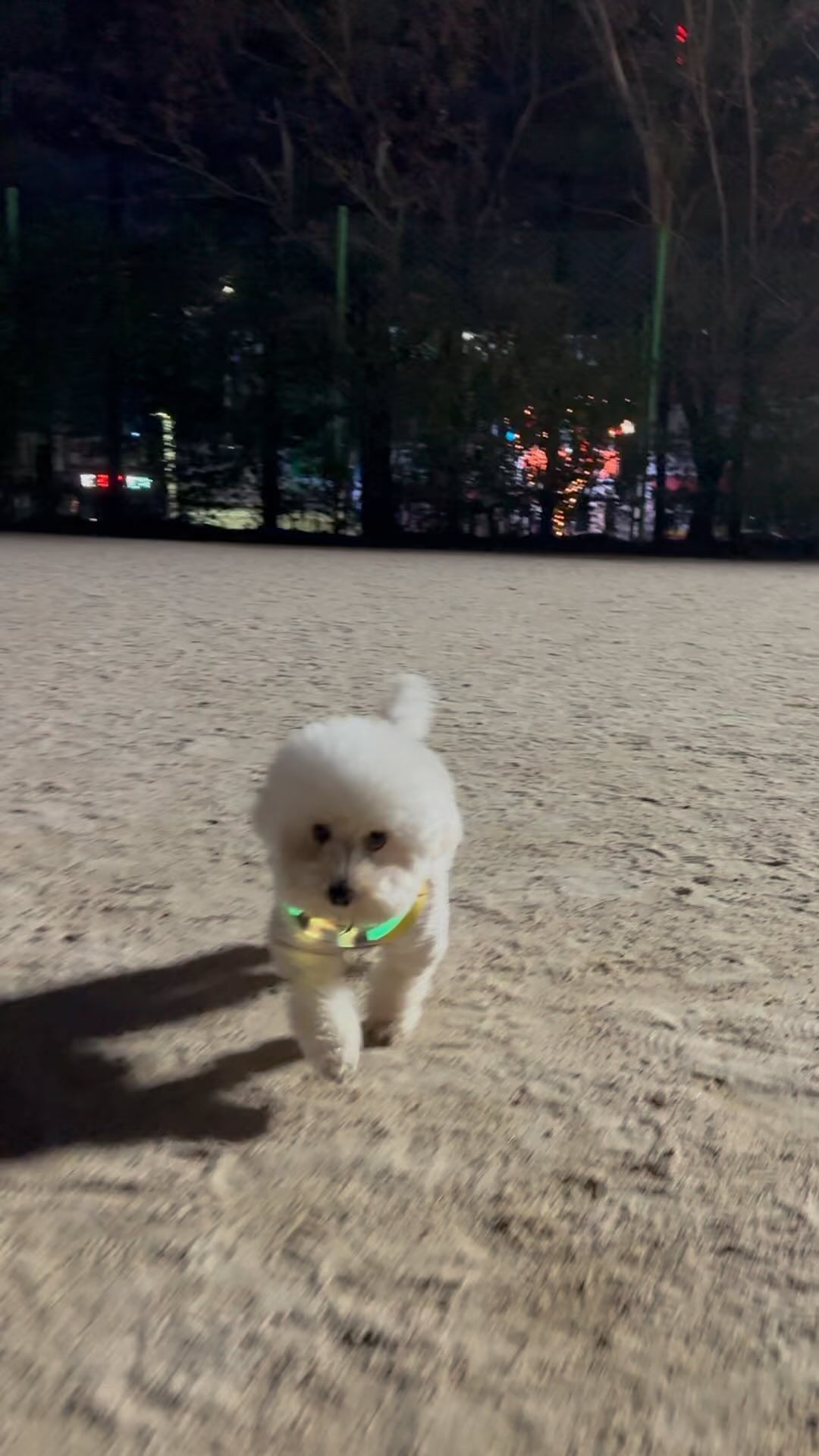 🫶🏻

으으억,,,,‼️ 누나 심쿵해뜨앗 💋💖
칭구들한테도 심쿵날려버리쨔앗 🤍〰️