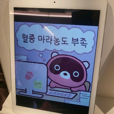 성수 그냥 지날 수 없지!

#아직출근전이지만퇴근하고싶다 
#도구리 #도구리짤줍전@doguri_official 
#성수팝업