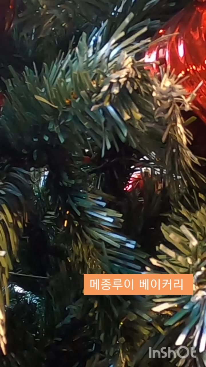 메종루이 베이커리
빵 맛있는곳

#메종루이베이커리 #메종루이
#수성구빵집 #빵집 #수성구빵맛집
#수성구카페 #수성구카페추천
#대구카페 #대구카페추천 
#대구데이트 #빵집맛집
