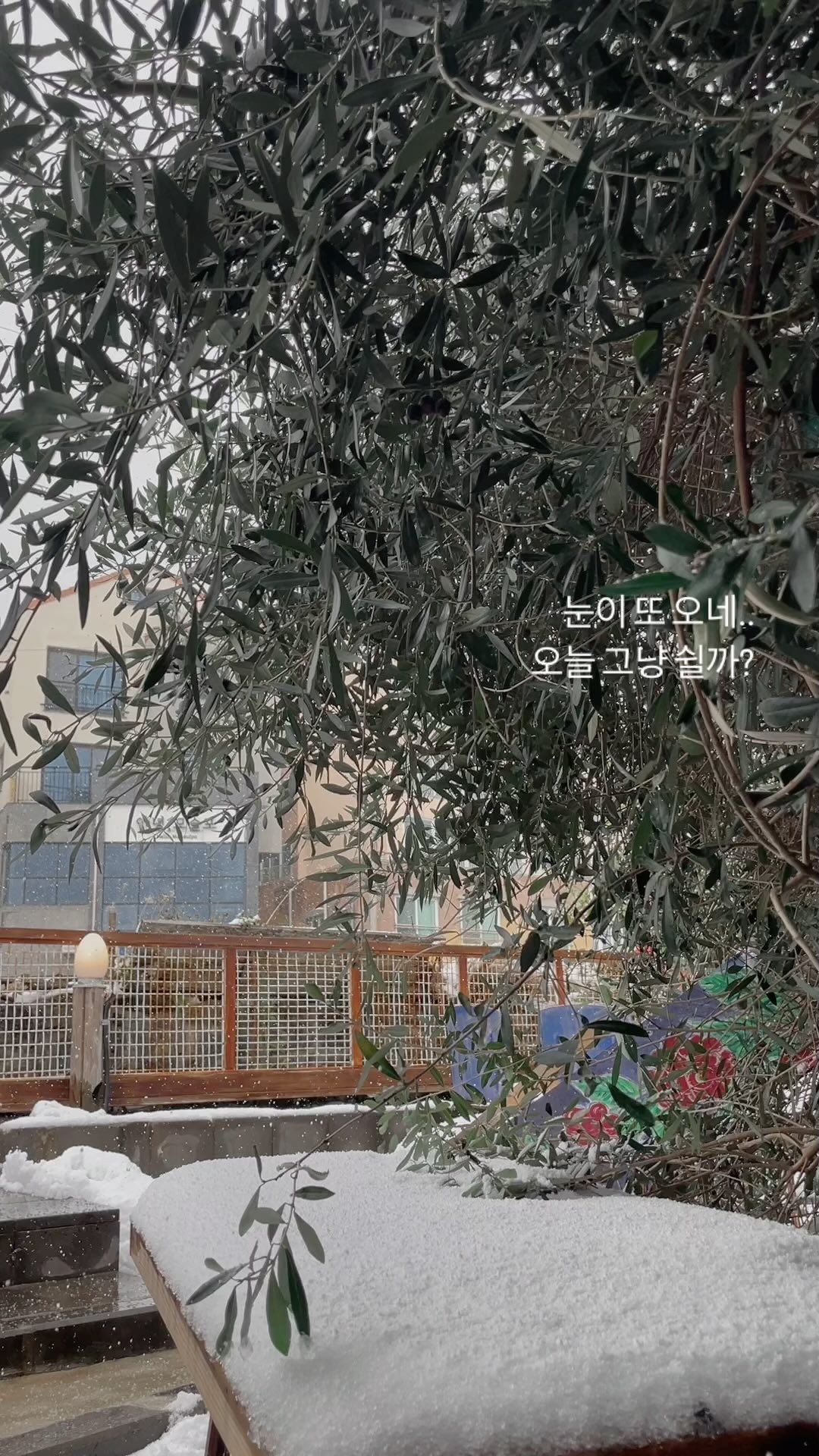 눈이 또 오네… 😢

다른 가게들 다 임시휴무던데… 
우리도 오늘 하루 쉴까? 했는데.. 
따르릉 예약전화 ☺️

ㅎㅎㅎ 
오늘도 열심히 일해 볼게용 ! ㅋㅋ 

#일개미 #첫눈 #폭설 #대정읍 #모슬포 #모슬포항 #일상