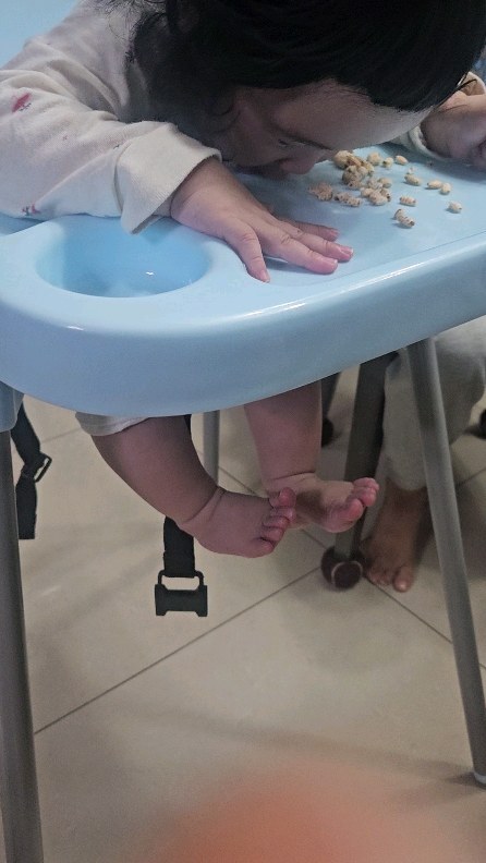 2023년 10월 

9개월인 그녀는 많이 커버렸다.

요새 독점육아 중이라 

SNS를 하기가 쉽지 않다. 
정말 폰들기도 힘듬.
애들 연령이 다양해서 더 힘든거 같다.😂

애비야 1년만 참아준닼ㅋㅋㅋㅋㅋㅋㅋ

여튼 손쓰는거보다 
입쓰는게 더 빠른 걸 아는 그녀 ㅋㅋㅋㅋㅋ