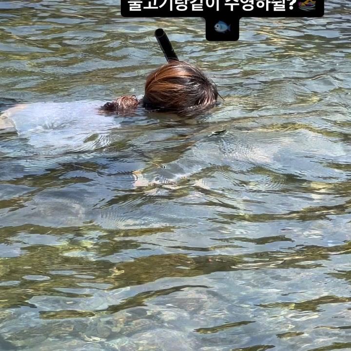 맑은계곡 한번 갔다오니 계속생각나네?ㅠㅠ
여름엔 역시 계곡이즤
안전요원있어서 좋았고 물이 깨끗해서 좋았고
또가야겠음 ㅠㅠㅠㅠ

#산청계곡 #계곡물놀이 #계곡스노쿨링 #맑은계곡 #또가고싶어ㅠㅠ #폭염탈출 #물놀이 #경남갈만한곳 #여름
#지리산계곡 #산청여행 #경남계곡 #예치마을 #내대계곡