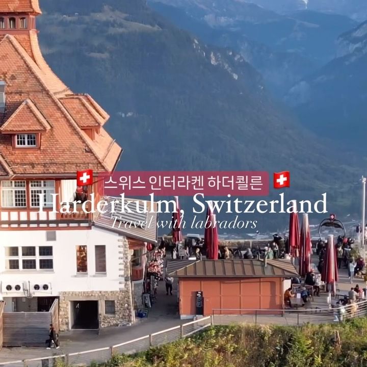 #스위스 #스위스여행 #harderkulm🇨🇭 
극P의 여행. 
파리-스위스 중 고민하다 스위스에 가게 되었고, 지도에서 아무곳이나 찍어 캠핑을 하게 되었는데 캠핑장 부터 모든 경험이 너무 좋았던 스위스. (파리를 못가서 너무 속상했는데, 스위스 가자마자 파리에 이런저런 크고 작은 사건 사고들 그리고 빈대 소동까지 있어서 안가기를 잘했어요)
.
스위스 2번째 날 갔던 인터라켄 하더쿨른
케이블카를 타기 위해 한시간정도 줄을 섰는데, 줄 기다리며 이야기다눴던 커플이 아직도 너무 기억나요 :)
래비로제를 너무 이뻐해주셔서 먼저 너무 감사했어요.  함께 이야기 나누는 것 만으로도 너무 좋았던 신혼 커플😁
사진 영상 찍어주셔서 감사하고, 래비로제에게도 좋은 추억 만들어주셔서 넘 감사해요😘
루체른 추천해주셔서 또 루체른에서 캠핑도 하고 시내에서 와인바도 가구, 넘 좋은 경험 되었네요 :)
@cat_b.b_reo 추억 박제😘 
.
.
.
#애견동반유럽여행 #블랙랩 #쵸코랩