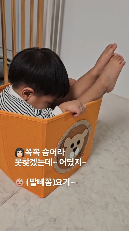 콘텐츠