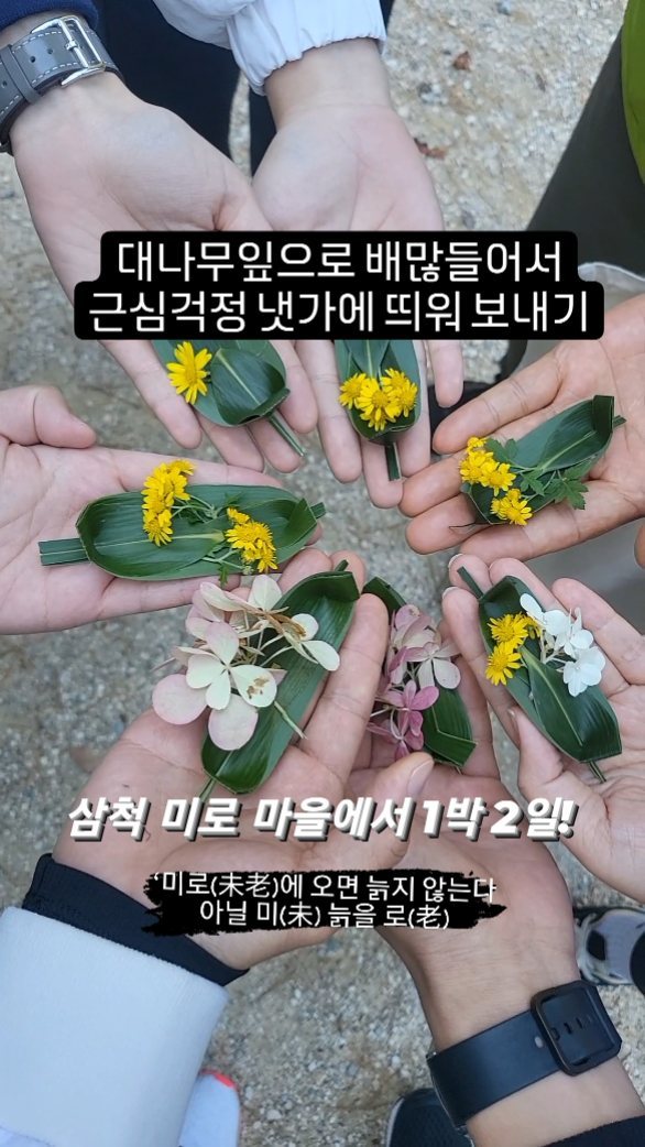 이 게시물은 강원농촌융복합산업지원센터로부터 활동비를 지원받아 직접 체험 후 작성되었습니다.
늙지않는 곳 #미로마을 에 있는 #삼척미로정원 에 다녀왔습니다. #삼척활기치유의숲 #천은사 #두타산 에서 피톤치드 마구 마시고 왔습니다!
#가을나들이 #삼척여행 #미로정원