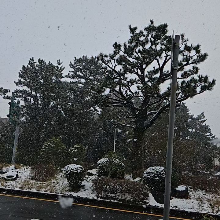 콘텐츠