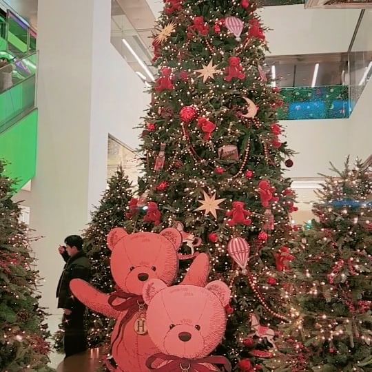 ㅡ
부천 중동 현대백화점 1층 중앙에 자리 잡은 
대형크리스마스 트리와 빨간 곰돌이🧸🎄

#중동현대백화점 #현대백화점중동점 #현대백화점트리 #부천트리 #부천크리스마스 #부천대형트리 #백화점트리 #크리스마스트리 #포토존 #부천가볼만한곳