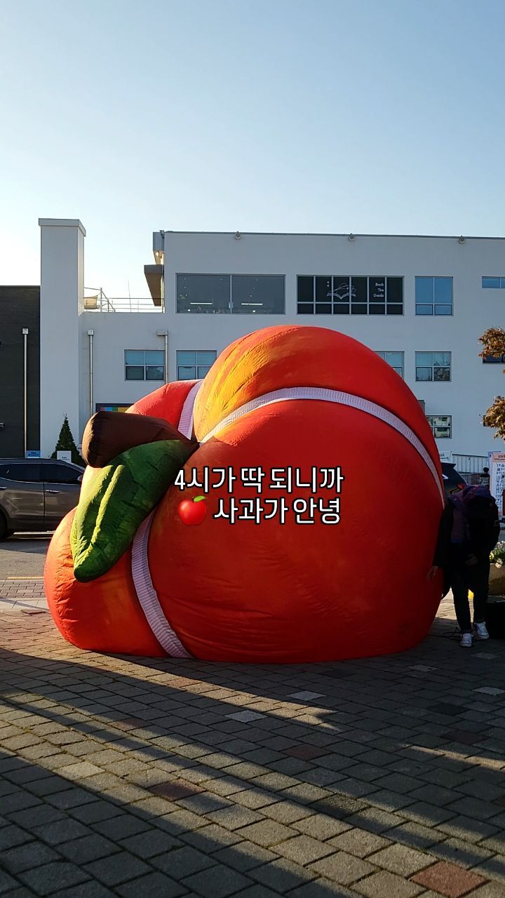 2023 트럭마켓 × 담장마켓

🍎 
사과 조형물이 4시 되니까 👋 
본인 보다 큰 사과를 정리하는 손길은
그리운 디자이너님 @jankkumummo

농업인의 날이라 가래떡도 나눔하고,
2023년 즐거운 #트럭마켓 참여였습니다 ☺️

#사과하세요 🍎 
#충주사과 #충주꿀
#조은마음꿀농장 
#충주 #파머스마켓