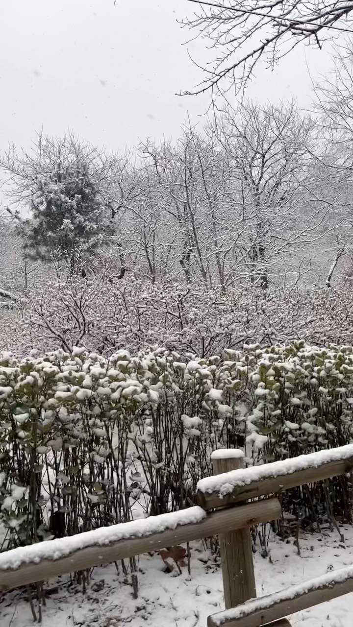 ❄️눈이 엄청 많이 와요~~~☃️❄️
.
.
#눈오는아침 #눈오는풍경 #설산