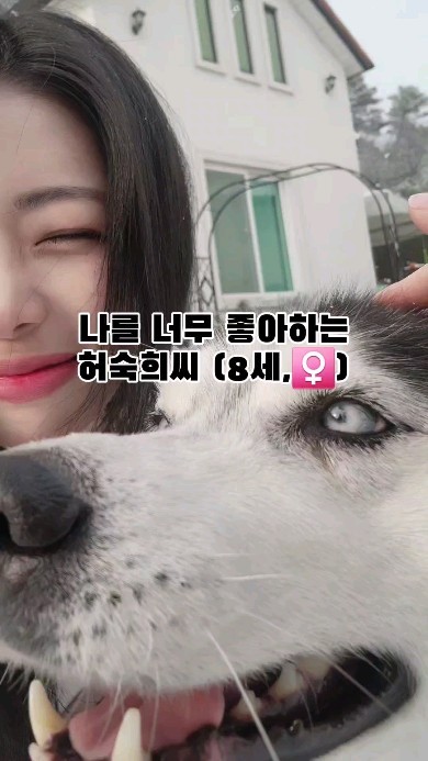 처음 만난 사이 🐺💗👩🏻

#허스키 #대형견 #여행 #담양 #담양펜션 
#강아지 #개스타그램 #반려견 #겨울