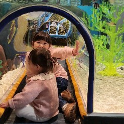콘텐츠