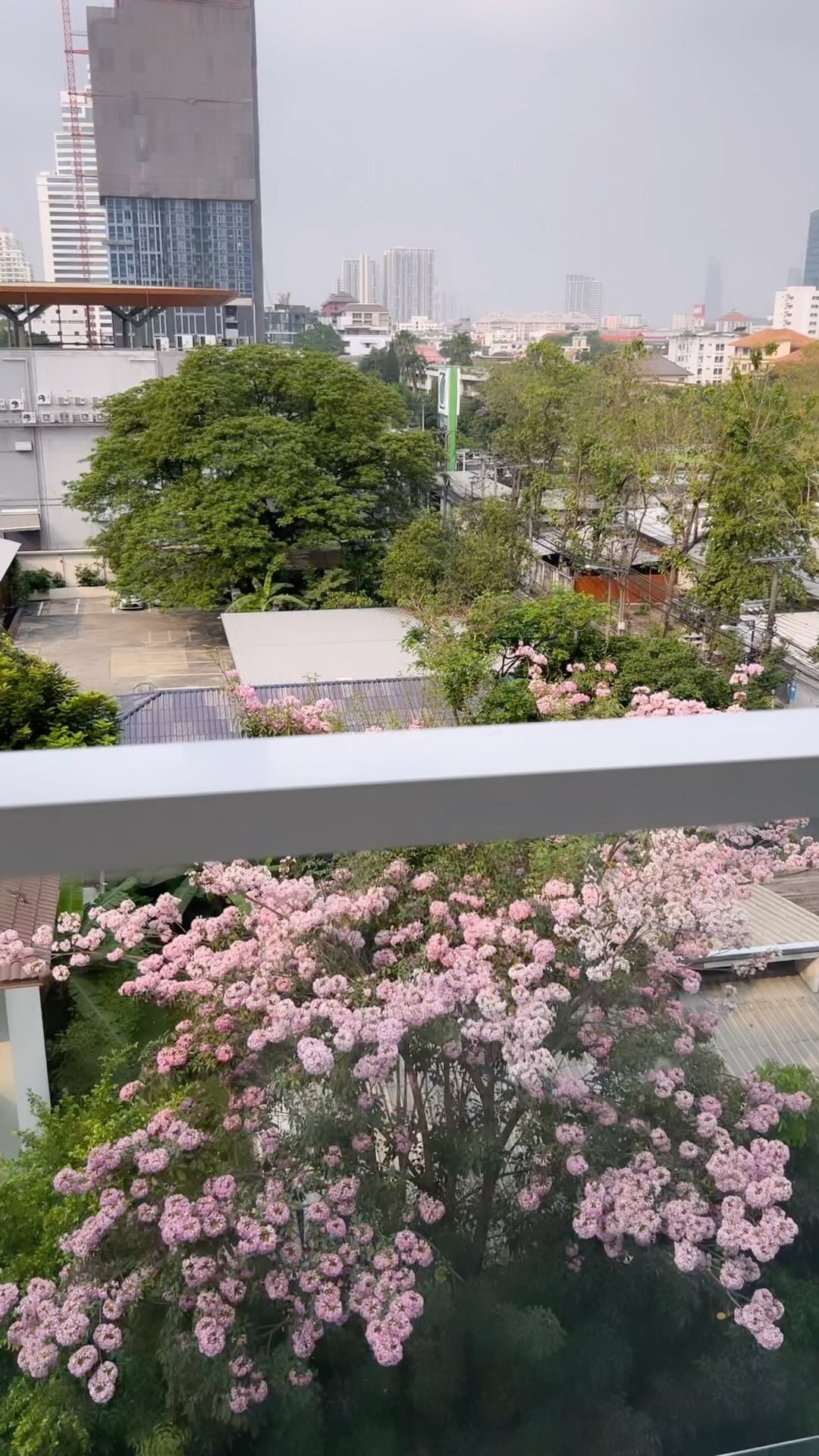 콘텐츠