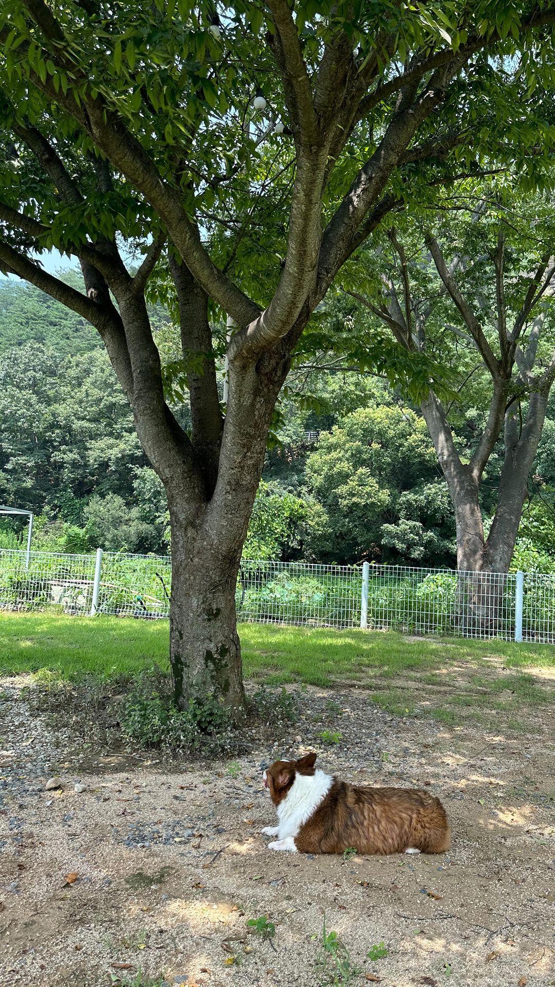 앙글이랑 3년전

#대학생