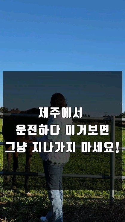 그냥 가지 마란말야~
.
.
🐴🐴🐴🐴🐴🐴🐴
사람을 좋아하는 말이었는지
부르니 냉큼 오더라고요🙃

말간식을 또 들이밀었더니
ㅋㅋㅋㅋㅋㅋㅋㅋㅋㅋ

제주도 말 들은 간식을 안묵;;
안먹어봐서 그런그야~

제발 한번만 먹어보라했지만 실패;; 

#제주여행 #제주운전 #목장 #길말 
#제주드라이브코스 #말사랑 
#승린이 #동탄맘_키미