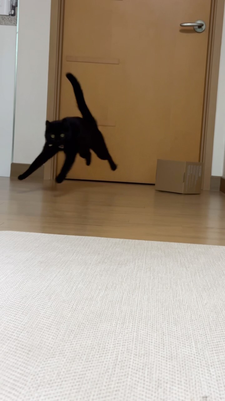뿅뵹뿅뿅