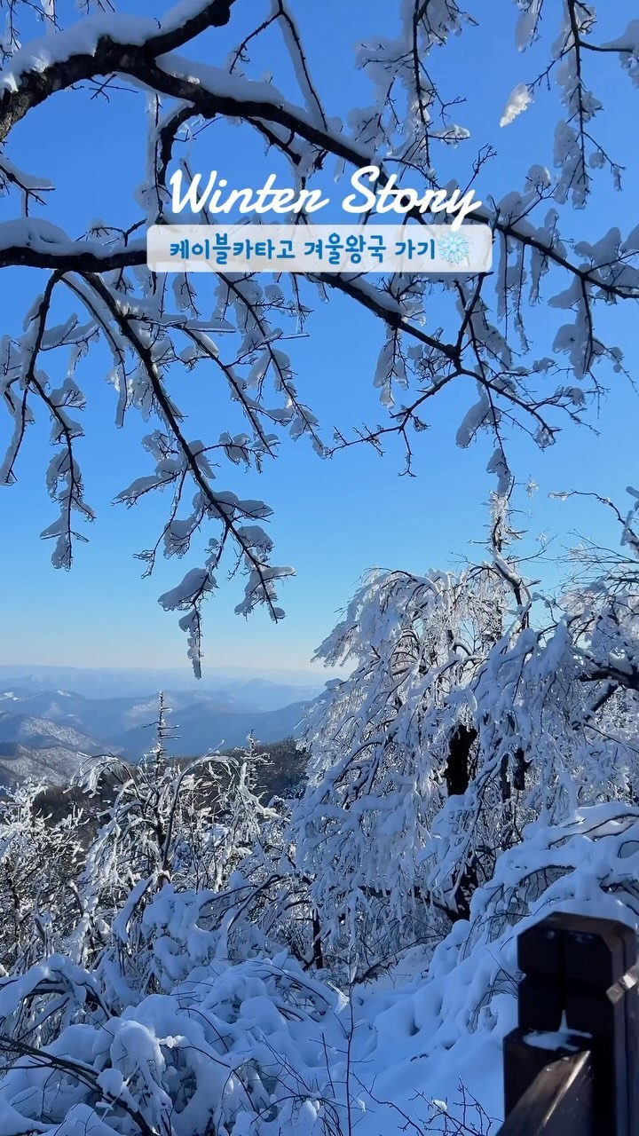 ❄️케이블카만 타면 겨울왕국에 도착❄️

겨울왕국 실사판인 이곳은!!
평창에 있는 발왕산입니다🩵
진짜..스위스에 온듯하고 외국보다 더 예쁜!!
보는내내 넘 행복했어요오!
상고대 첨봤는데..어쩜 이리 예뻐요?ㅠㅠ
어디서 찍어도 넘 예뻐서 온통 포토존이고
일단.. 등산안하고 설산을 즐길 수 있어서
넘 좋다구용🫶🏻

외국도 예쁘지만 전 진짜..우리나라 넘 예쁜것 같아요🩵
봄 오기전에 얼른 겨울왕국에 다녀오세용!!

저도 다음주에 한번 더 가려구요❄️

#여행다니니_평창 

🚡발왕산 관광케이블카
📍강원 평창군 대관령면 올림픽로 715
🔖왕복 25,000원 (네이버 예약시 할인! 현장예매시 카드사 할인)
🚠주중 10:00~18:00 주말 09:00~18:00
(상행마감 17:00 / 하행마감 18:00)

#평창여행 #대관령여행 #발왕산 #발왕산케이블카 #용평리조트 #용평스키장