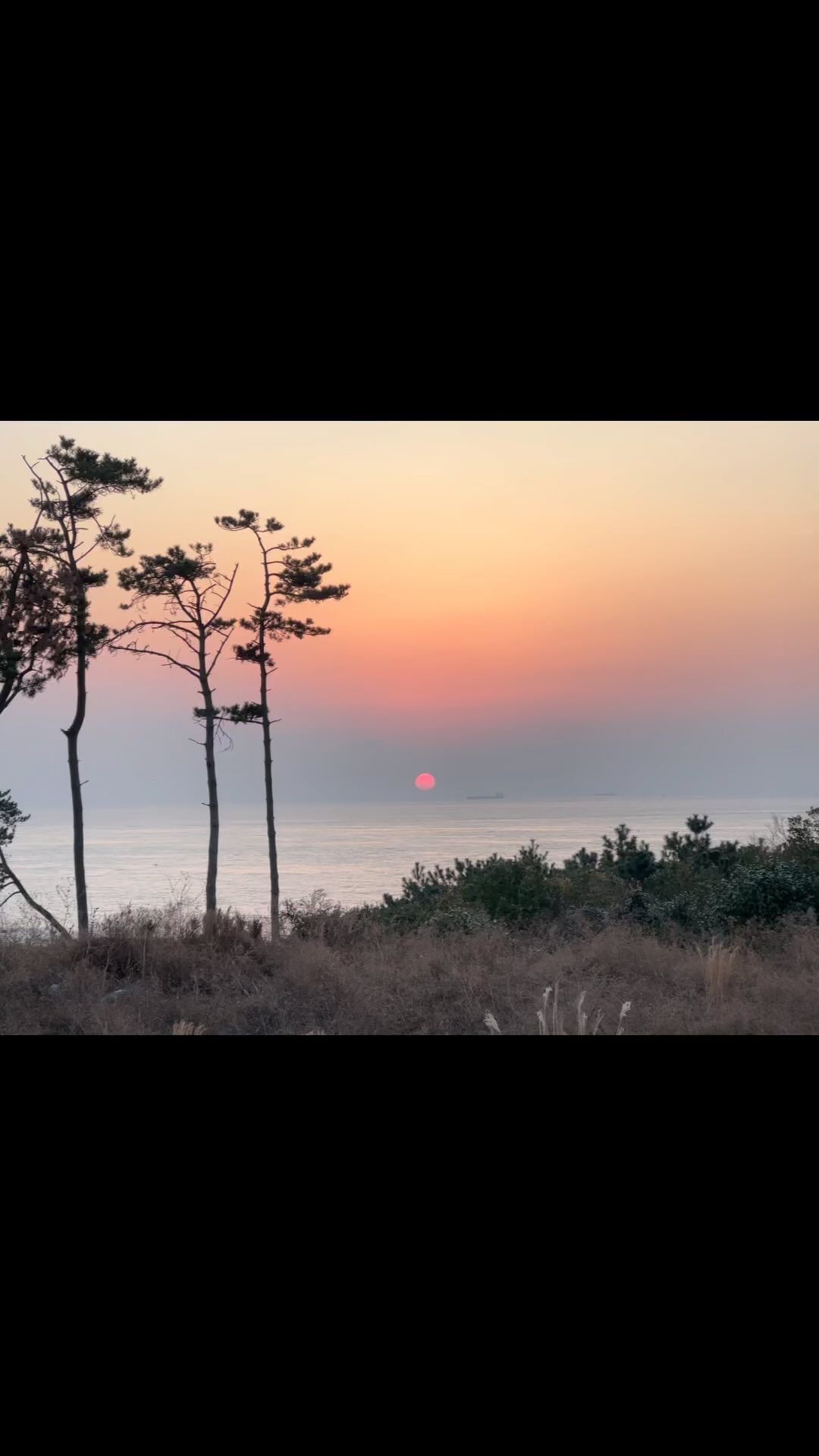 #안녕2023 

37세의 날들 또한 어느때처럼,
행복하기도 슬프기도.
다가오는 38세의 날들도 그렇겠지.

함께 해주셔서 감사합니다.
앞으로도 우리 함께해요❤️
