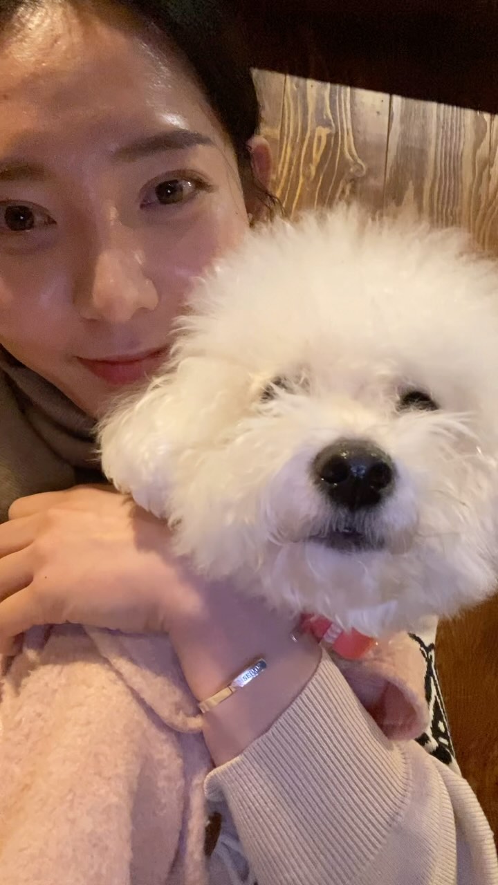 콘텐츠