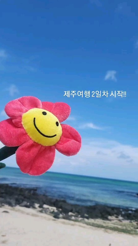 인스타가 만들어준 릴스ㅋㅋㅋ

#제주도여행 #애월 #곽지해수욕장 #애월카페 #새별오름
#혼자여행하는여자