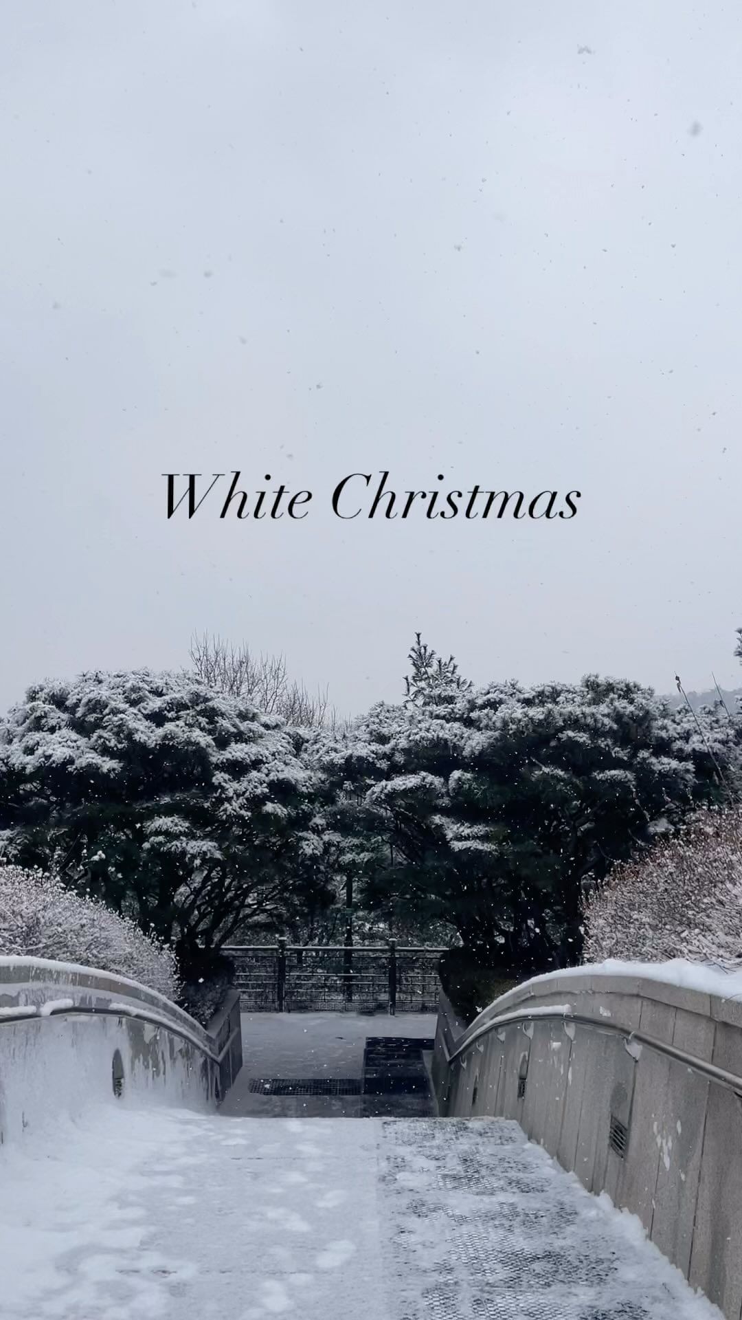 White Christmas❄️ 오리 공장 개업🐥
#christmas #whitechristmas #snow #whitesnow #merrychristmas #santa