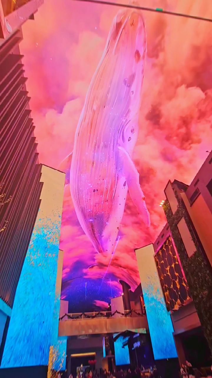 커플이라면 꼭 추천하고 싶은 데이트코스✨️
영종도 인스파이어 리조트 오로라💜
추운 겨울! 따뜻하고 영롱한 곳에서 데이트하기 딱!
아이들과 가도 좋을 것 같아요!

👉장소 - 영종도 인스파이어 리조트
👉운영시간 - 오전 8시 30분부터 밤 12시까지
30분 단위로 오로라 쇼가 진행됨
👉숙박하지 않아도 무료 관람 가능✨️ 

#영종도인스파이어#인스파이어#인스파이어리조트
#인스파이어오로라#영종도데이트코스#영종도가볼만한곳#인스파이어엔터테인먼트리조트#실내데이트장소#실내데이트코스#실내데이트코스추천#인스파이어몰#미디어아트#미디어아트쇼#핑크고래