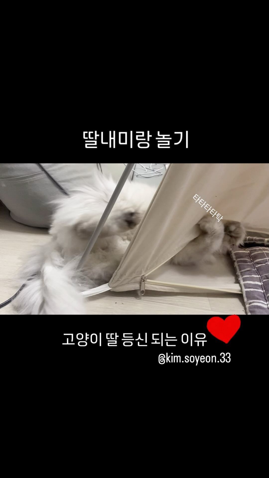 2024.01.14

고양이 딸 등신 되는 이유?

아 너무 귀여워

애교에 죽습니다

여기서 전 꾀꾸닥

#딸등신 #딸바보 #귀여운고양이