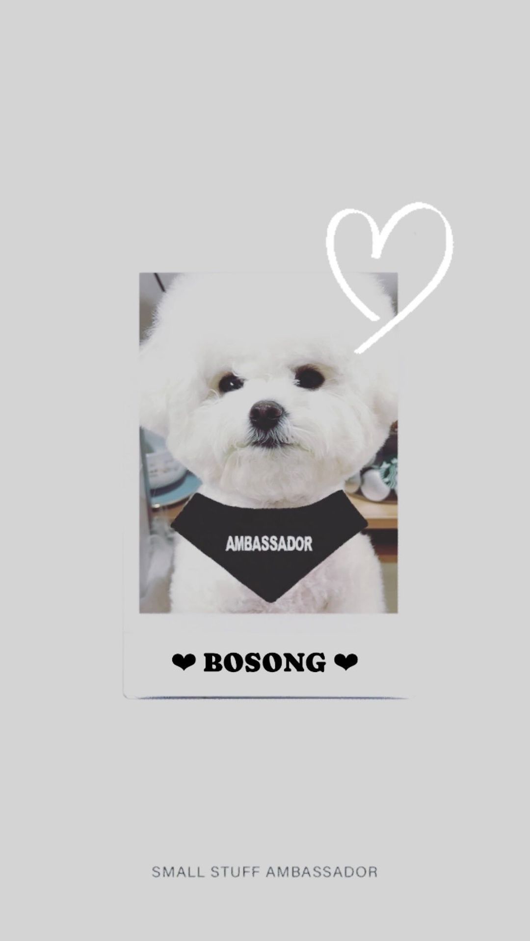 @smallstuff_official 
#스몰스터프_엠버서더지원 신청해봅니당,,🖤🪽