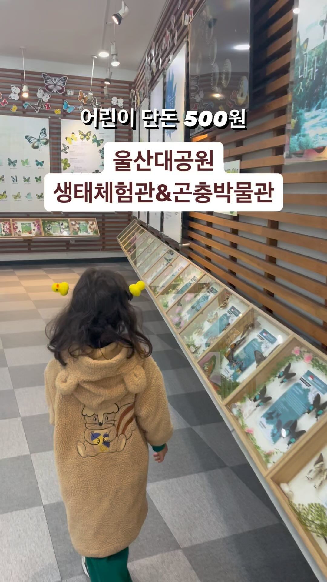 이번 주말 가볼만한 곳!!
오늘 날씨 엄청 따뜻한거 같아요👍🏻

바로 킥보드 끌고 달려온 곳은 울산대공원 생태체험관 & 곤충체험관🕷️

성인 2000원
청소년 1000원
어린이 500원
(다자녀 및 국가유공자 할인🆗)

ㅇ...엄마는 조금 무섭고 징그럽지만 라니는 넘 즐거운 곳

평소보다 사람도 적어서 바로 공유해봅니다!!

주차👉울산대공원 남문 쪽
함께 가면 좋을 곳👉장미원&동물원, 키즈테마파크, 놀이터 등등

저렴한 입장료 덕에 모든 곳에 다 들리면 오늘 하루 울산대공원에서 하루종일 보내기 가능할 것 같아유~~🫶🏻

#울산대공원 #울산대공원생태여행관 #울산육아 #울산육아맘 #울산아이랑 #울산아이랑가볼만한곳 #울산아이랑갈만한곳 #아이랑가볼만한곳 #아이랑갈만한곳추천 #육아일상 #울산육아소통 #울산맘스타그램  #울산맘소통 #울산맘일상 #주말육아그램 #주말육아 #주말육아시작