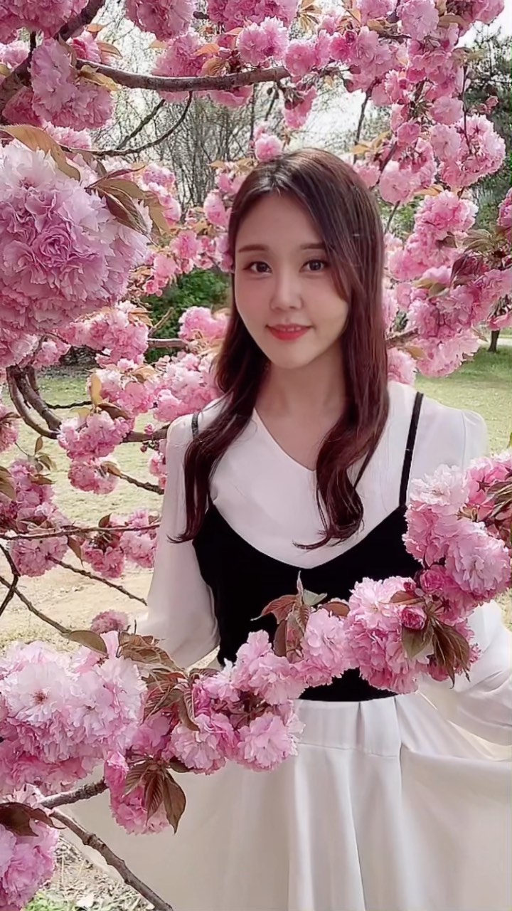콘텐츠