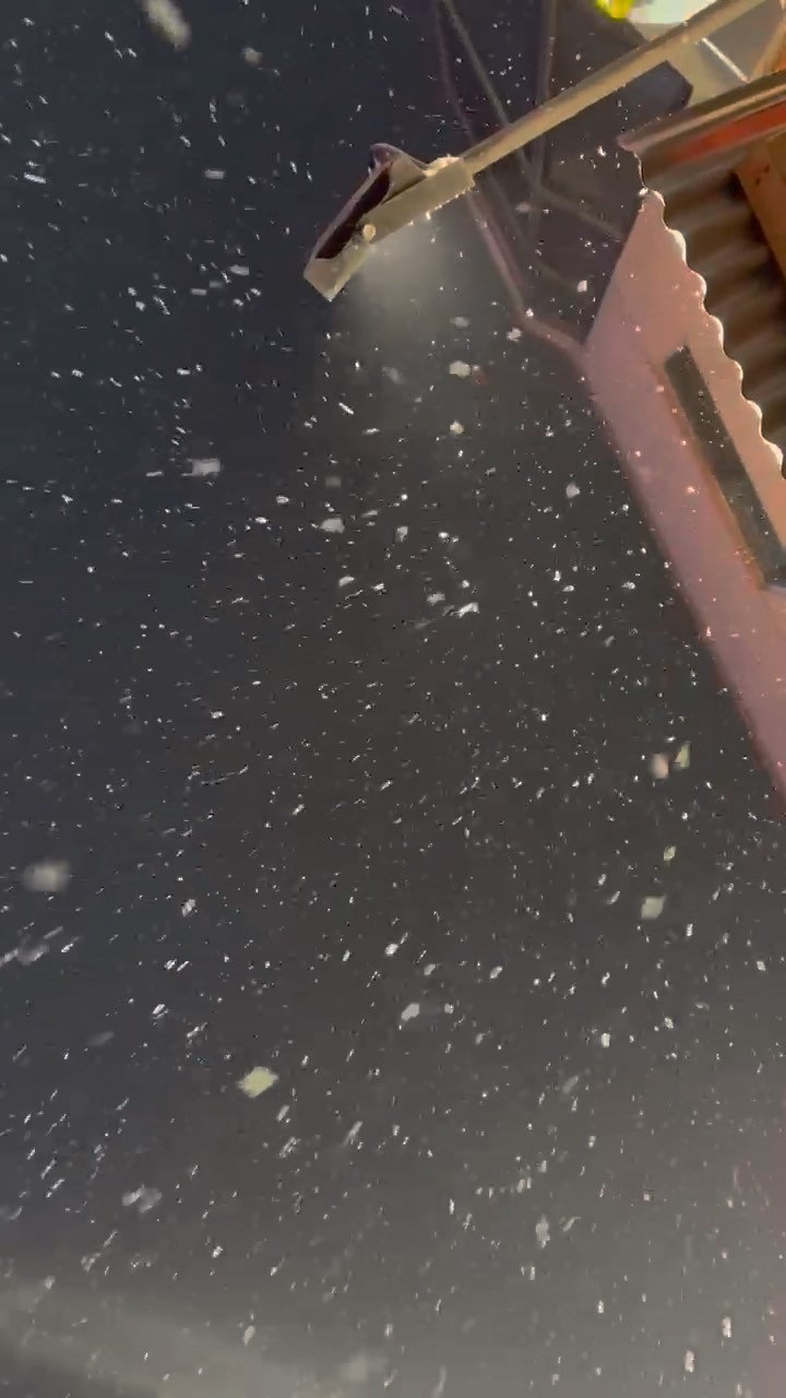 #merrychristmas
