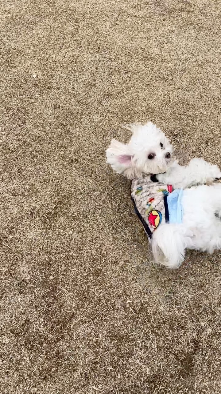 진짜 할 말이 없네