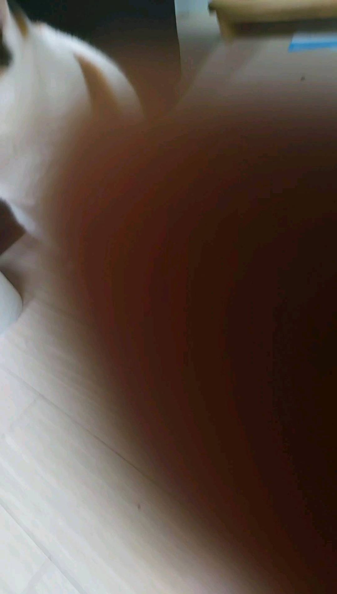 콘텐츠
