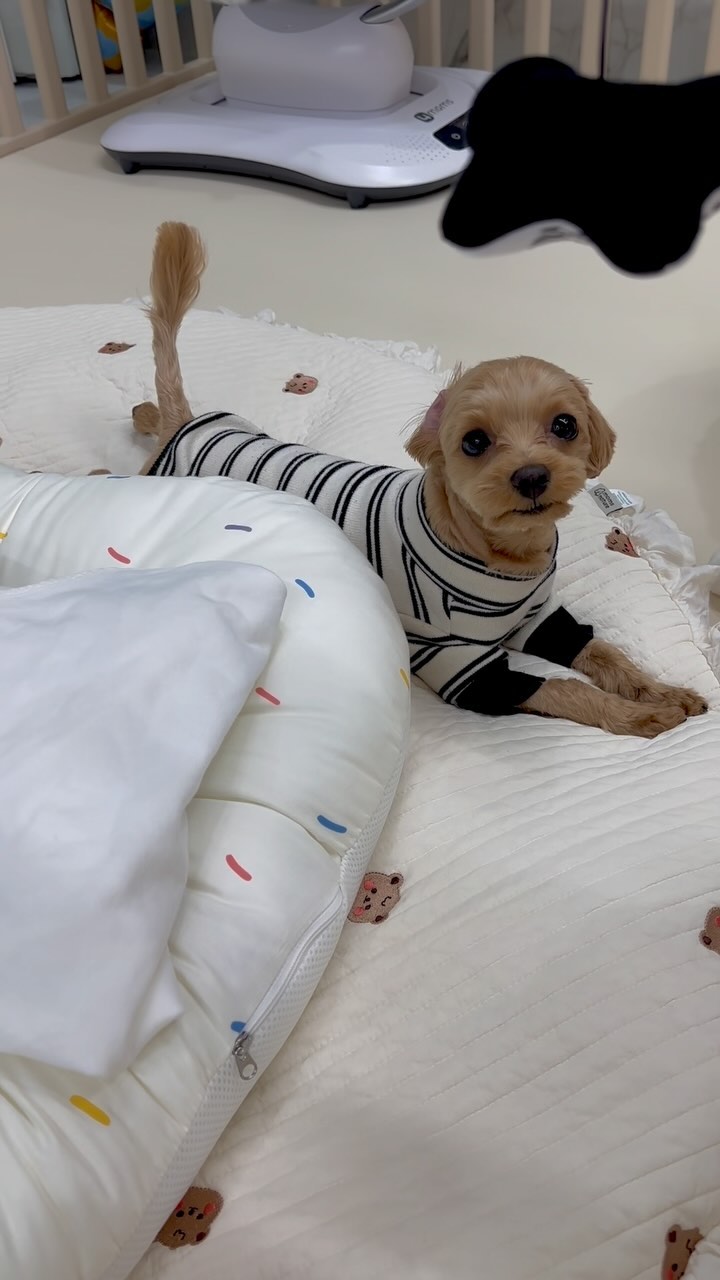 너무 보고싶었던 투샷