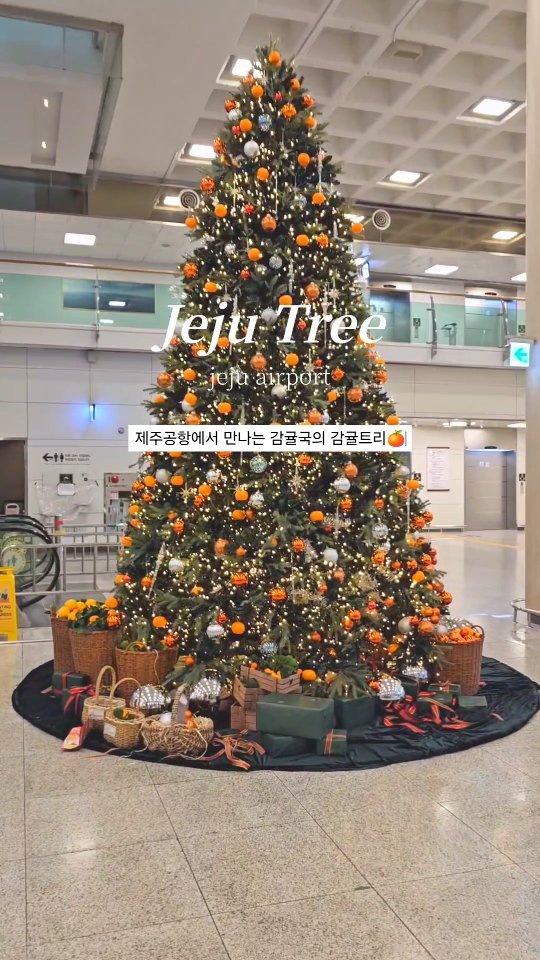감귤국, 제주는 트리도 감귤로 만든다구!🎅
제주공항에서 만나는 감귤국의 감귤트리🍊

🎄감귤트리는 국내선 도착 3번 게이트 입구 오른쪽에 있어요.
🍊진짜 감귤은 아니랍니다😆 바닥에 감귤 소품들로 사진 찍을때 활용할 수 있어요.

#제주여행 #제주감귤트리 #감귤트리 #제주공항 #릴스타그램