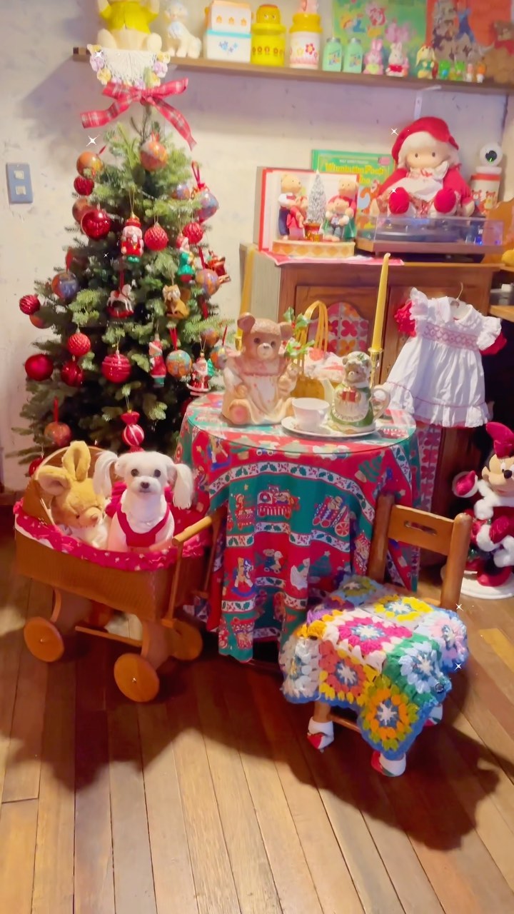 Happy Christmas! 🎄🎄🎄#두부#말티즈