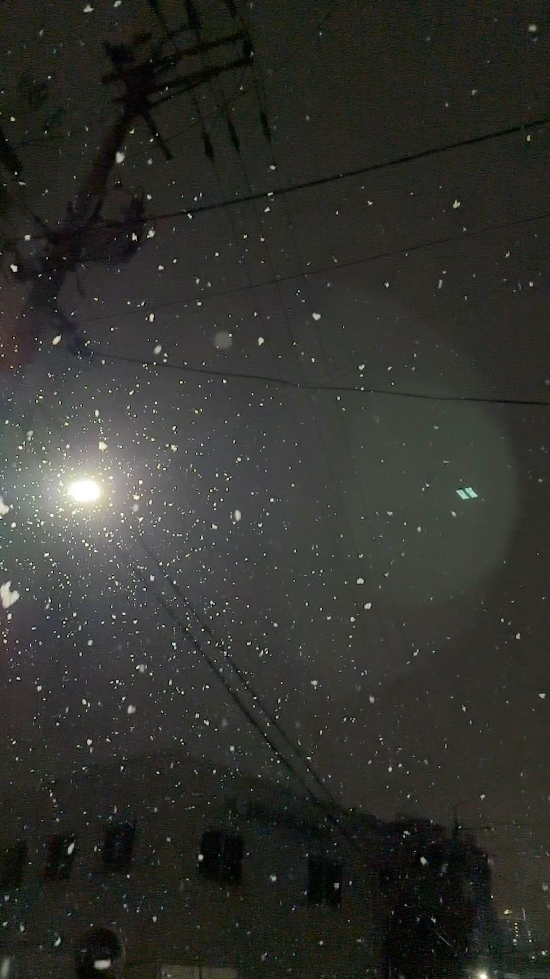 펑펑 내려랏⛄️🤍
중간에 액정에 눈 떨어지는게 갬성 뽀인트