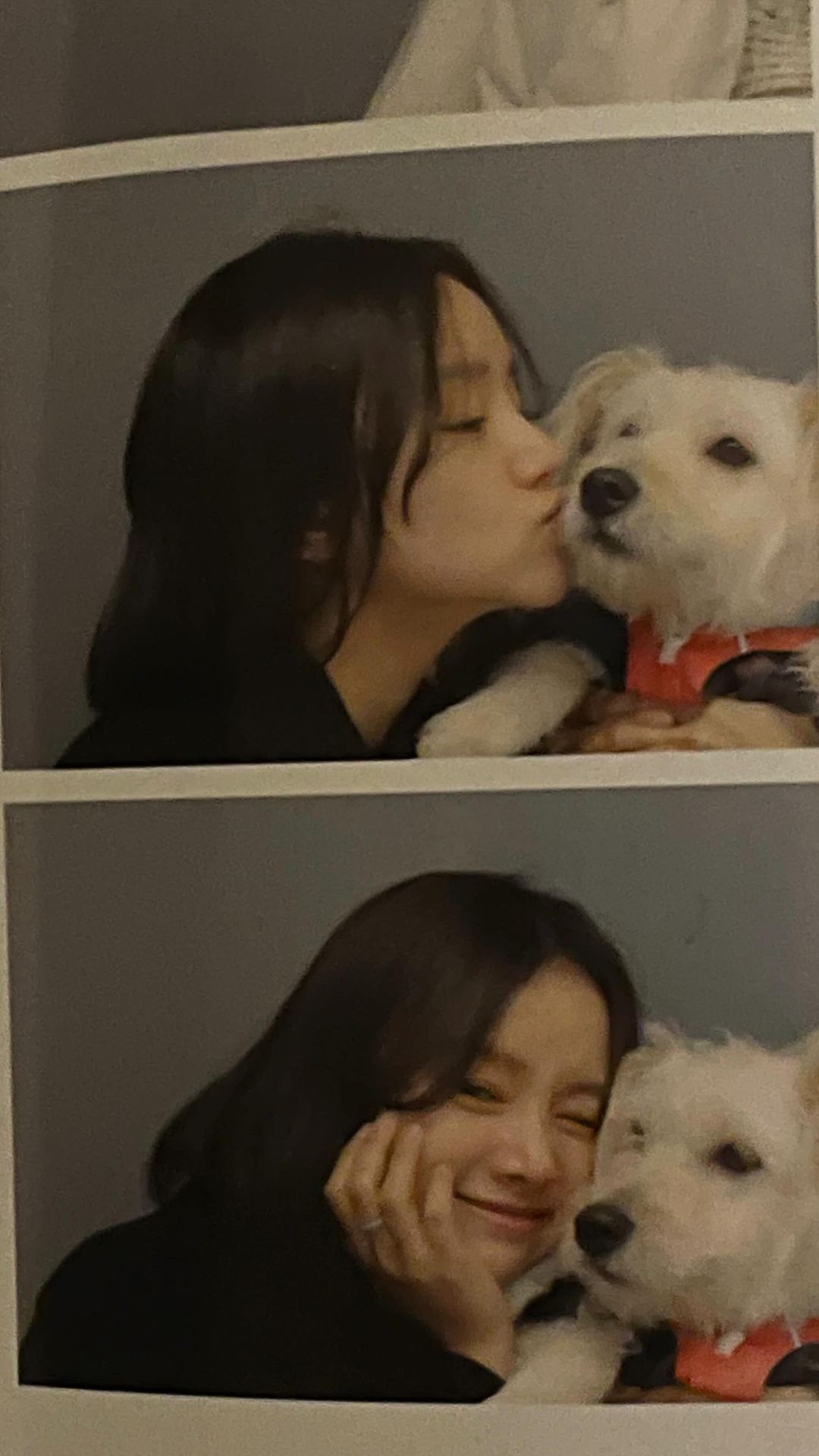 내 댕댕이도 아닌데 자꾸 생각나 내 첫사랑 로코 🐶