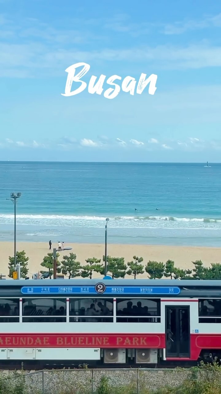.
🚃송정 해변열차 1열 직관 가능한 뷰맛집 카페💛
🌊송정 해수욕장과 해변열차까지 바로 앞에서 볼 수 있는 
퓨전 찻집이에요🤭
분위기가 좋아서 데이트 코스로도 추천❤️
☑️매 시간마다 기차가 오는데 생각보다 기차가 빨리 지나가니 
미리 대기하고 있다가 영상으로 찍으시는걸 추천드려요🫶🏻
창가 좌석은 웨이팅 필수이니 혼잡한 시간은 피해서 가시는걸 추천드려요💖

📍#수월경화 
📌위치 : 부산 해운대구 송정중앙로6번길 188 
⏰영업시간 : 11:00 ~ 20:30 
📞전화번호 : 0507 - 1327 - 8450

.