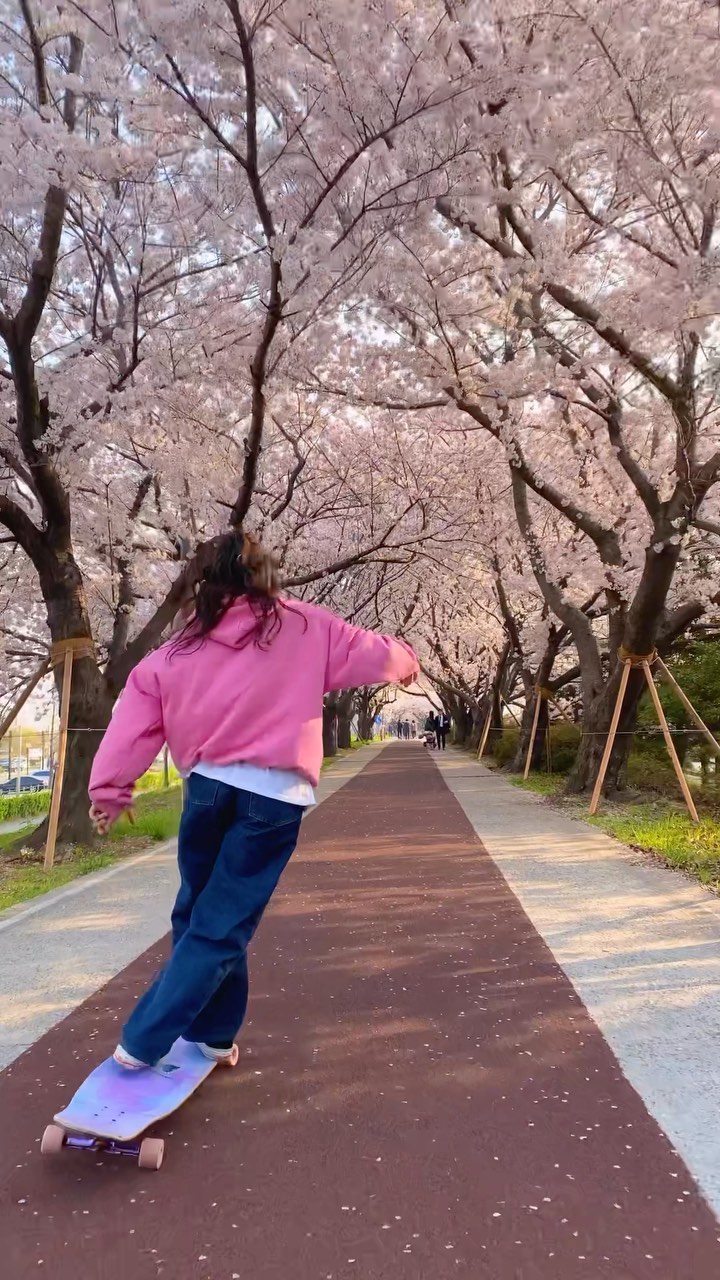 내 영상에서 이렇게 느린 속도라니…
벚꽃이 너무 이뻐서 못 버려🌸

📹 @7h_lee_ 

#벚꽃 #롱보드 #longboard #일상 #운동하는직장인