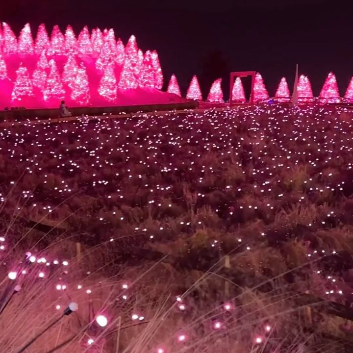 나만 알고픈 핑크빛 낭만 여행지🎀
(@@아, 이번 주말 바로 달려가자!!)

✅입소문 나기 전에 빨리 가야 할 예비 핫플
✅연인과 뽀뽀 각인 핑크빛 물결&음악 선곡
✅사람 없이 인생샷 100만장 가능

해가 지면 더 예쁜 핑크빛 동화 마을!!🏠
서울 근교로 1시간 이내에 도착 가능한 숨은 핫플!!💓
핑크모래로 HOT했던 ‘포천 허브아일랜드’ 은 최근 핑크빛 대형 물결으로 가득 찼어요🎀
영상으로는 대규모 핑크빛 물결과 낭만 분위기가 표현이 안 되어 아쉬울 정도였답니다🥹

ㅡㅡㅡㅡㅡㅡㅡㅡㅡㅡㅡㅡㅡㅡㅡㅡㅡㅡㅡ
📍허브아일랜드
▪️위치 : 경기 포천시 신북면 청신로947번길 51(영상 위치는 허브아일랜드 내 스카이허브팜)
▪️주차 : 대형 주차장 완비(전기차 충전소 O)
▪️축제 : ‘빛으로 소통하는 반딧불! 핑크, 빛으로 말하다’
▪️꿀팁 : 올라가는 경사가 높으니 트랙터 이용 권장
ㅡㅡㅡㅡㅡㅡㅡㅡㅡㅡㅡㅡㅡㅡㅡㅡㅡㅡㅡ

#포천허브아일랜드 #포천여행 #포천가볼만한곳 #포천핫플 #포천여행코스 #서울근교데이트 #서울근교데이트 #포천데이트 #포천허브아일랜드불빛축제