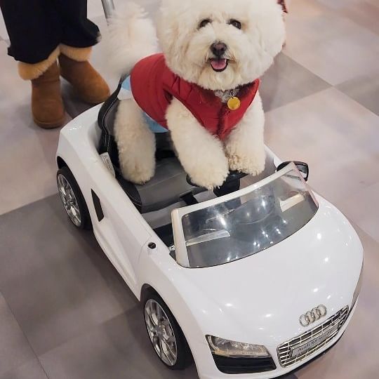 😎🚘🚘

울언니 다리다쳐서 운전 못하니까 내가 운전하겠숑.

#야 #타 #빵빵