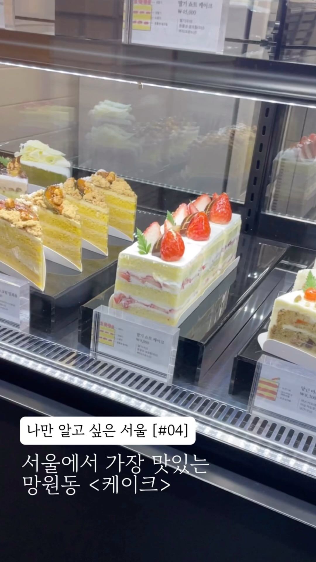 한입 맛보는 순간, 매일이 생일이고 싶은 곳🎂

대전에 성심당이 있다면, 서울에는 이곳이 있다...! 🫢

제가 케이크를 진짜x1000 좋아해서
유명하다는 곳 많이 가봤는데 아묻따 원픽💖
주변 친구들도 모두 1위라 입모아 말하는 곳이랍니당〰️🤍

✔️바로 먹고 싶다면? 바로 앞에 있는 <레이브>카페에서 드실 수 있습니다😊
✔️<나만 알고 싶은 서울>을 담습니다
@seoul_yeji 
@seoul_yeji 
@seoul_yeji 

#서울예지_서울 #망원동케이크 #서울케이크 #서울케이크맛집 #망원케이크 #시우케이크 #합정케이크 #마포구청케이크