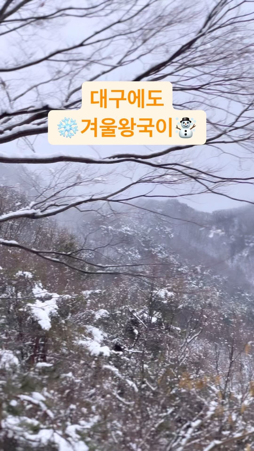 주말에 팔공산 갔다가 발견한 대구의 설산 ❄️

📍한티재 

눈 보기 어려운 대구지만, 이곳에 가면 
눈도 보고, 눈사람도 만들고, 눈싸움까지 가능해요. 

한티재 휴게소 가는 방면으로 눈꽃, 눈길이 쭉 이어져 있어요. 
한티재 휴게소에는 눈이 절정 ☃️

대구에서 눈 못 봐서 아쉽다면, 
한티재 추천해요. 

24년 1월 21일 방문 기준으로, 눈 한가득 🏂