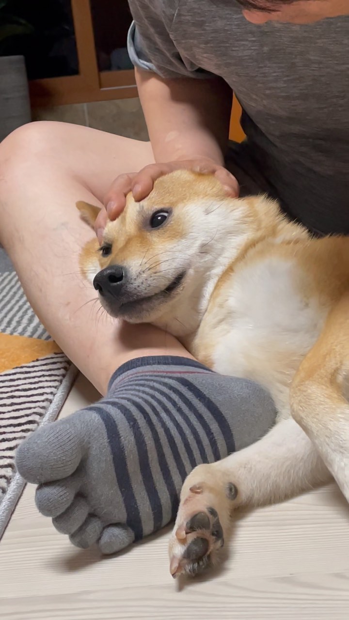 꾸린내가 포근하구만