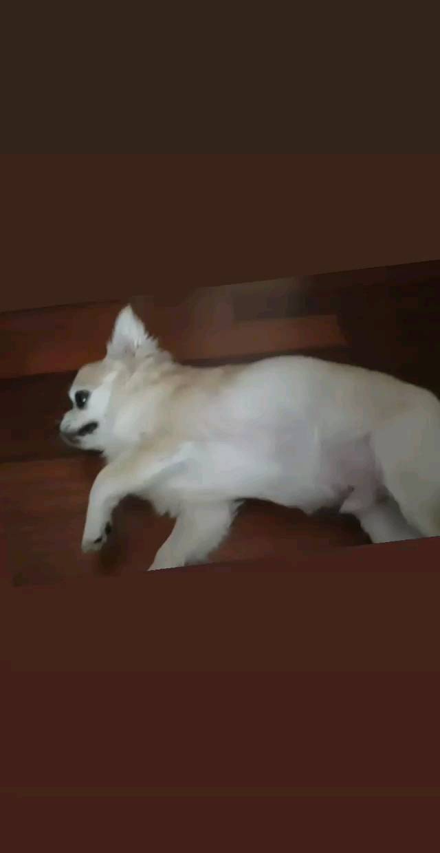 콘텐츠